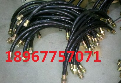 LNG20*700-1/2NPT(M)-G3/4(F)ˮӹ