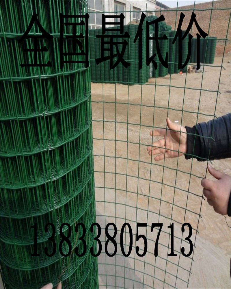ֳΧ  ֳ纸  ȦΧ  Ȧط