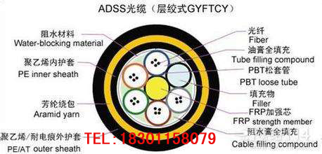 ADSS-24B1-100۸