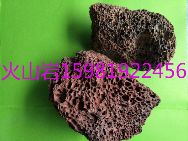 ʪרûɽϳ