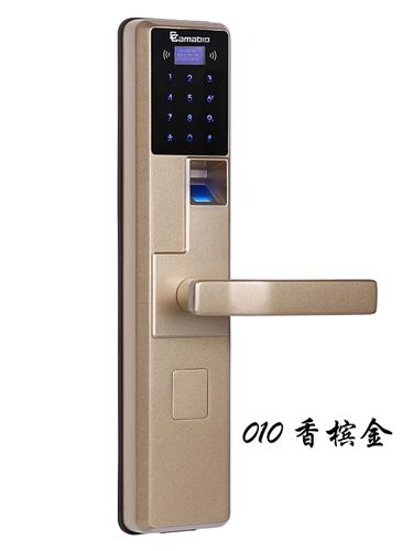 ָIC