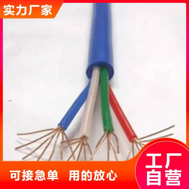 2*6.0ȼõMVV-0.6/1KV-