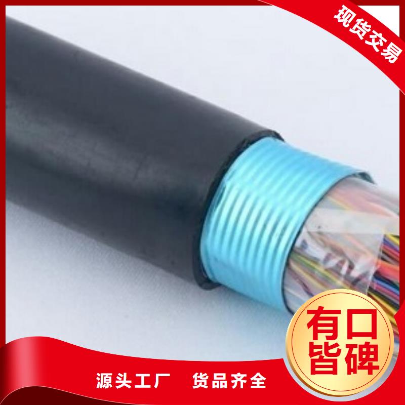 NH-KVVRP2-22-2*1.0