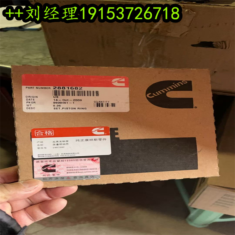 2881682/5405717 KIT,PISTON RING