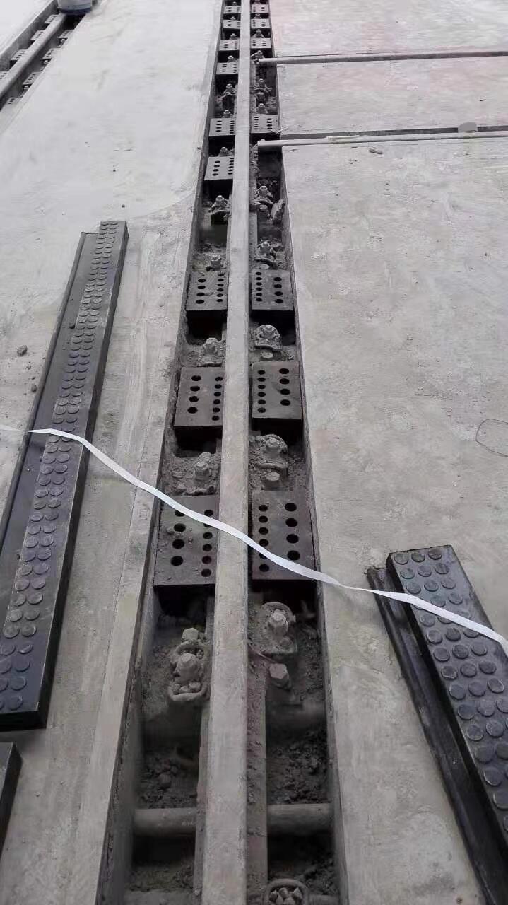 ·Ƕ