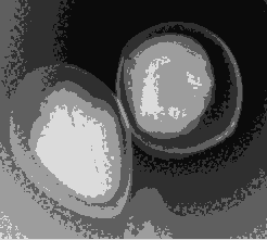 Яʽx߻