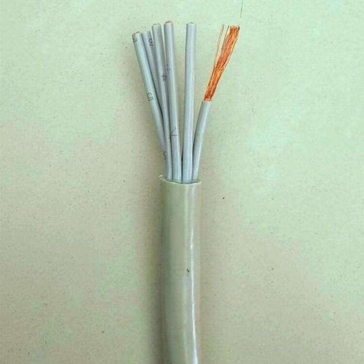 ֶͭ6.0MM2̽ӵ߹