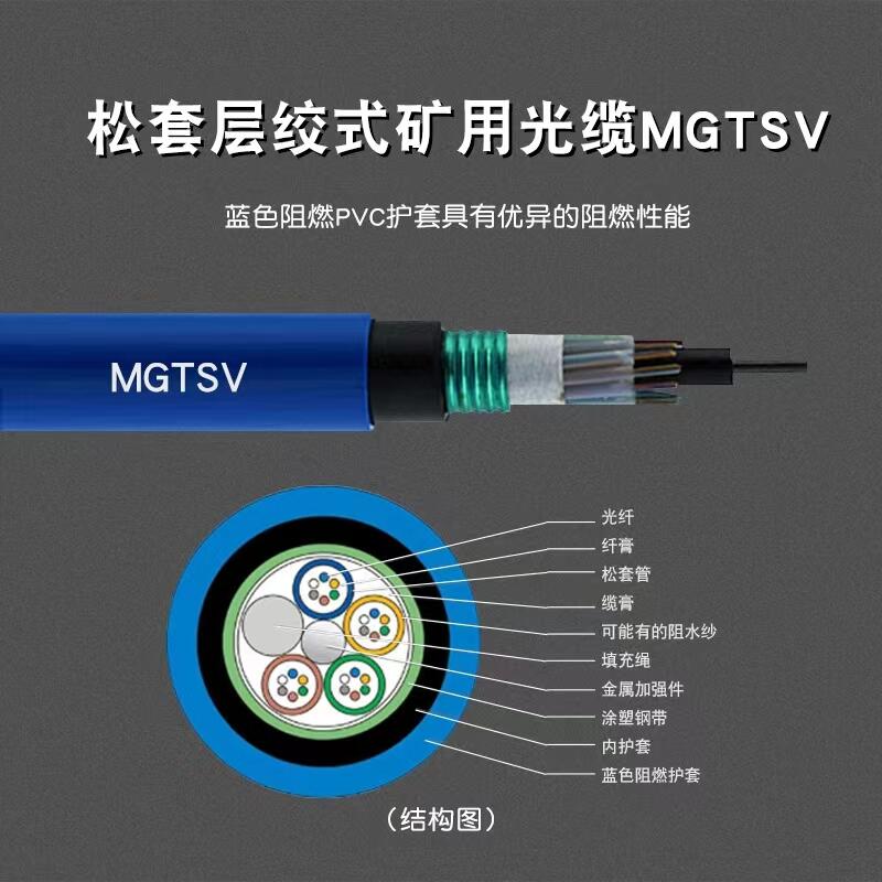 MGTSV-24B1