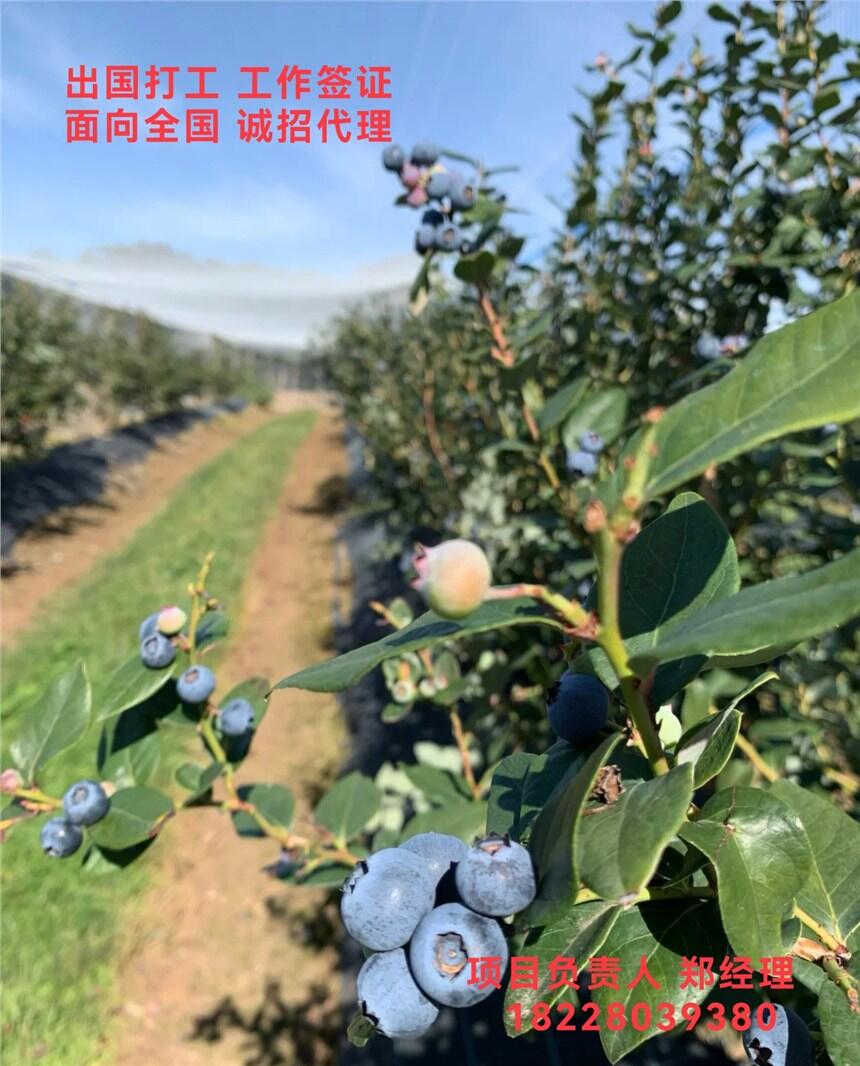 񡢸нʦ˾չн40𣬼๤50