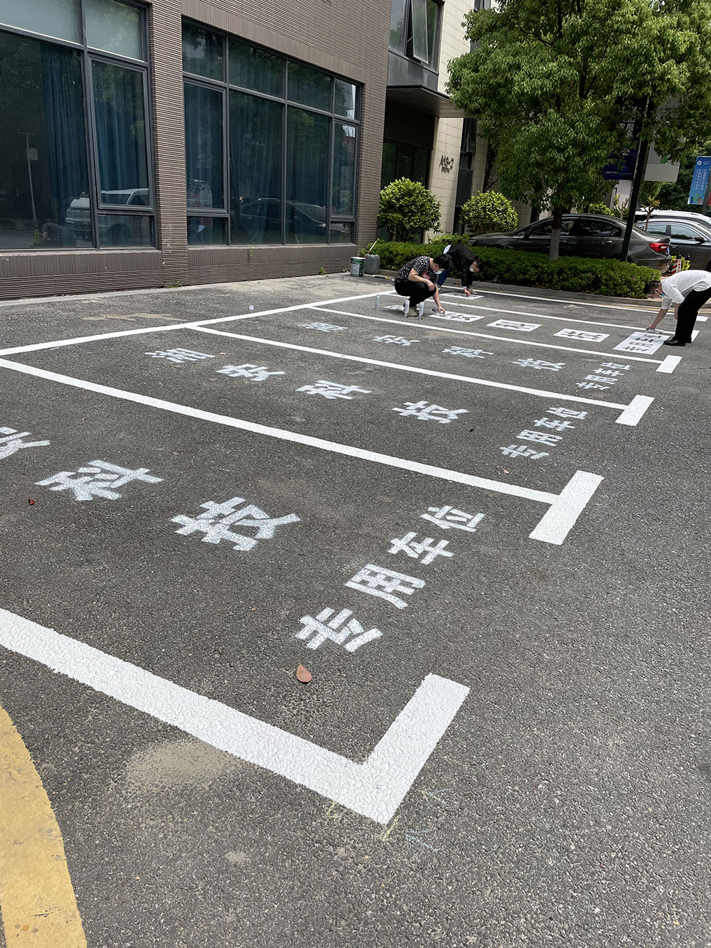 λߵʩ