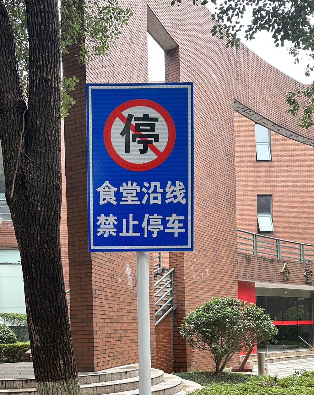 ֹ԰ʾƽָͨʾƷ־ʾרҵ־