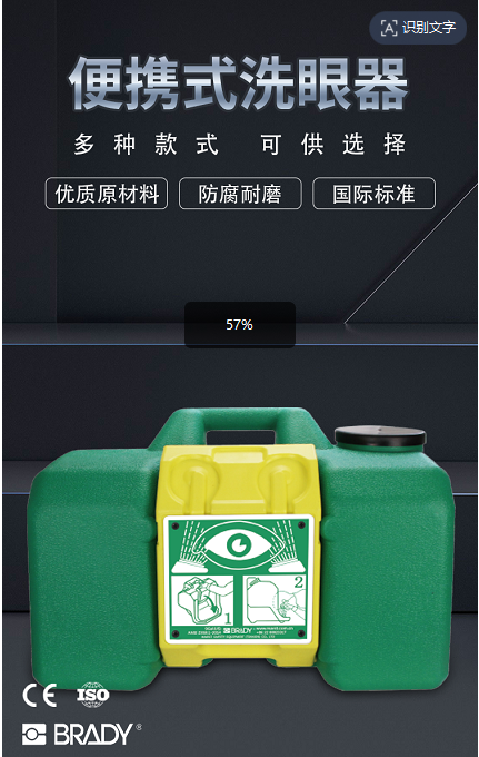 贝迪BRADY便携式洗眼器BD-600A（35升）