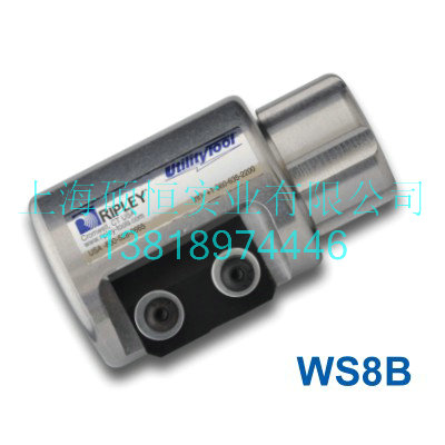 WS8B ͷ׶ Ripley