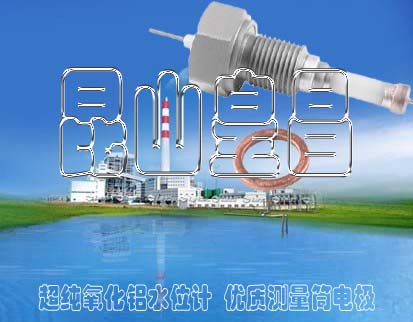 ¯缫ͺDJM1810-97Һλ缫