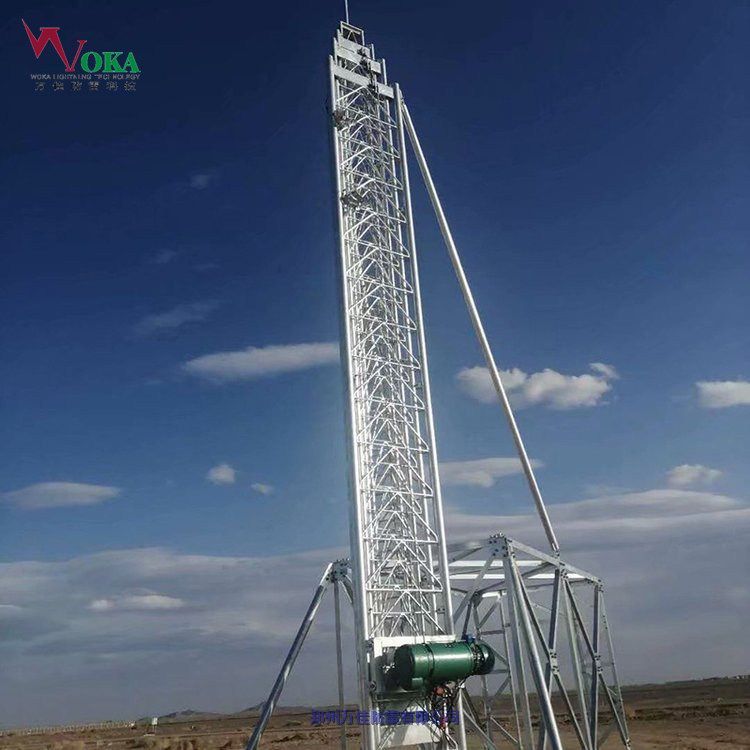 50׳ʽӦƶʽ߸˸100KG
