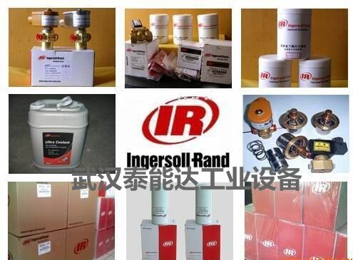 Ingersoll-RandӢ39853809ѹѹ