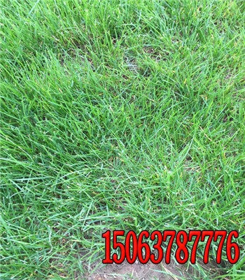 1ڶݱ̻ʲôݲ