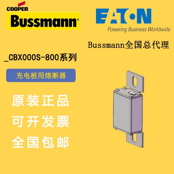 350CBX000S-800BUSSMANN˹۶