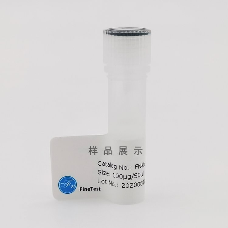 ADAR1(anti-ADAR1antibody)