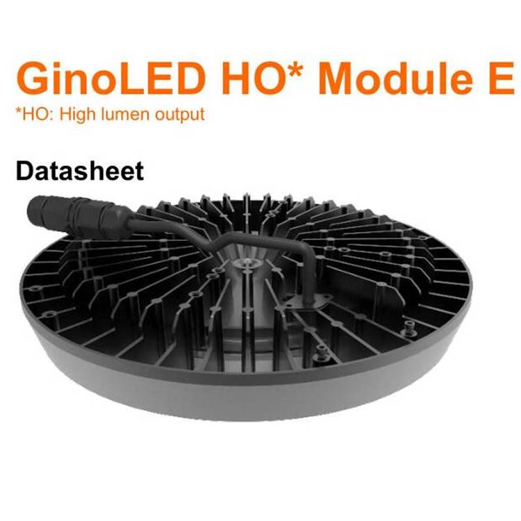 ŷ˾GinoLEDHOModuleLED⹤Ƹ